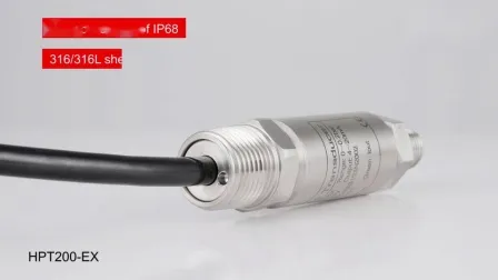 Explosión segura intrínseca IP65
